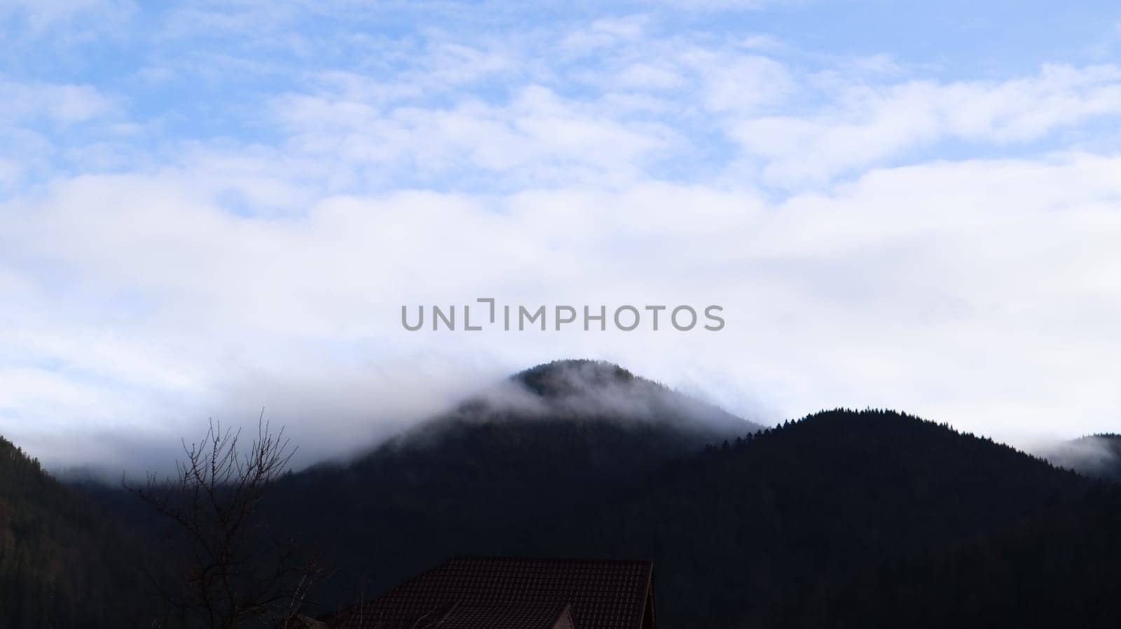 Autumn rain and fog on the mountain hills. Misty autumn forest covered with low clouds. Ukraine. Spruce forest trees on the hills of mountains sticking through the morning fog over autumn landscapes
