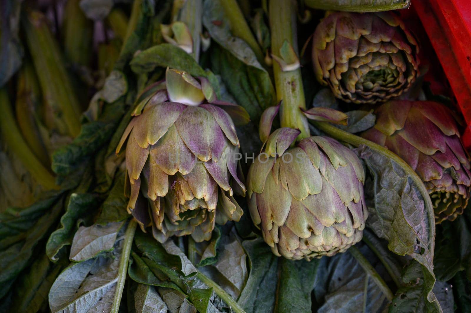 Artichokes are displayed with lush green leaves at a bustling market, inviting shoppers in the morning light.