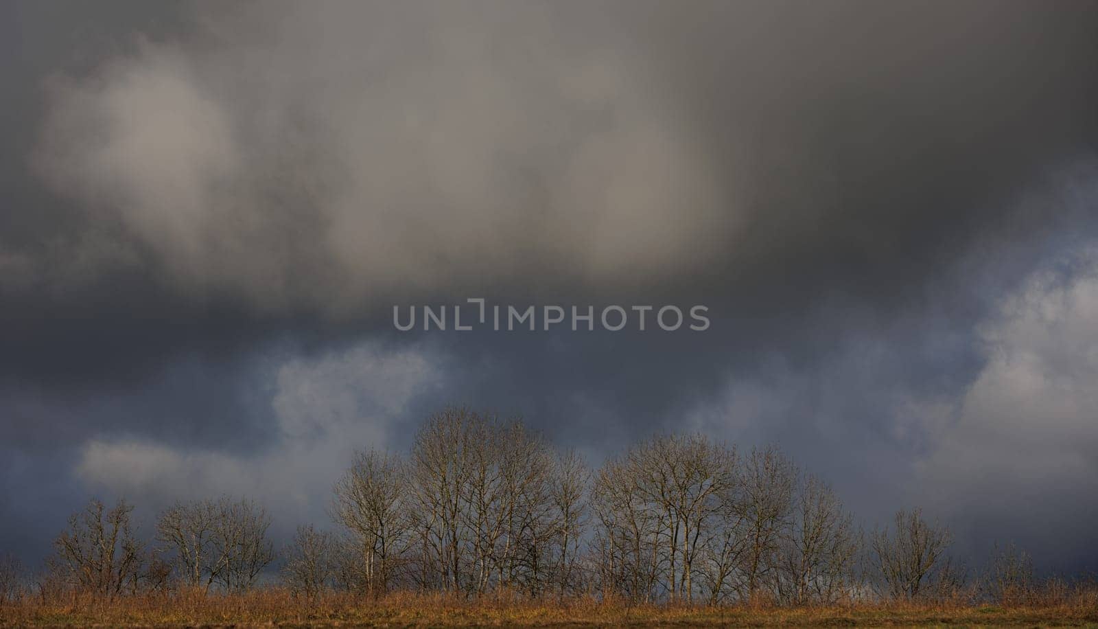 Panorama of landscape with trees and heavy clouds