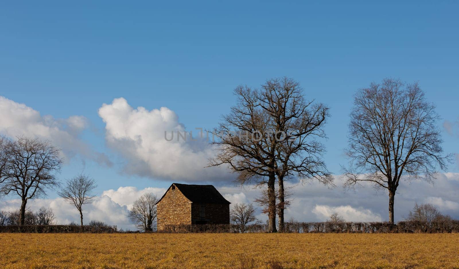 Landscape with old house and trees
