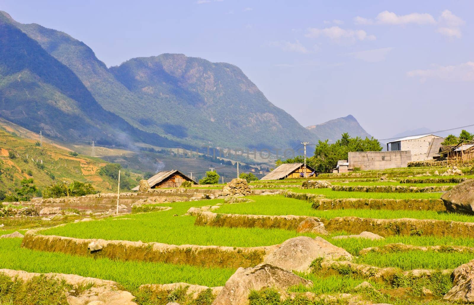 Scenic of rice terraced fields in Sapa, Vietnam