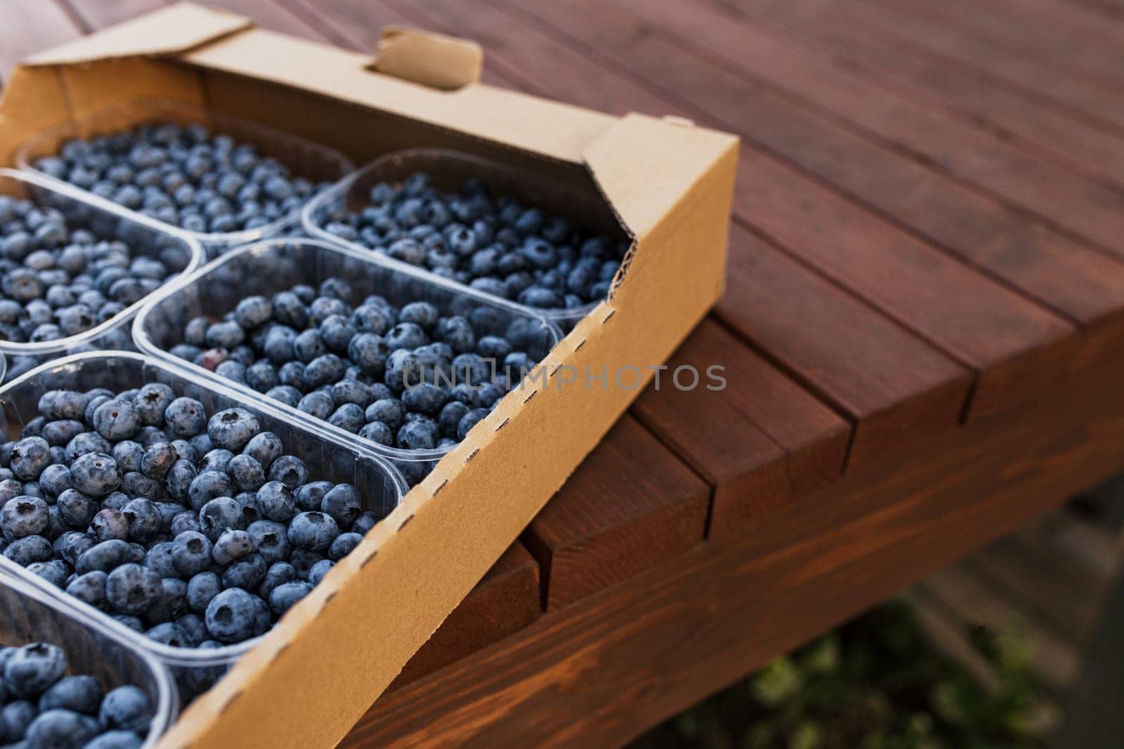 Box, crate or container with collected fresh blueberries. Berries agriculture business. Farmer cultivating and harvesting blueberry. Horticulture industry. Brown wooden boards background