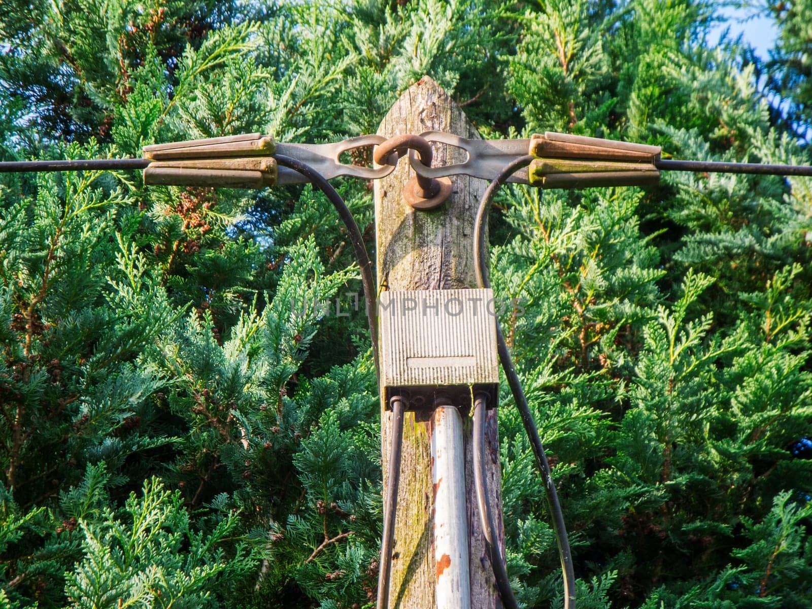Partial top view of a telegraph pole with distribution box between the incoming and outgoing telephone lines in front of green trees.