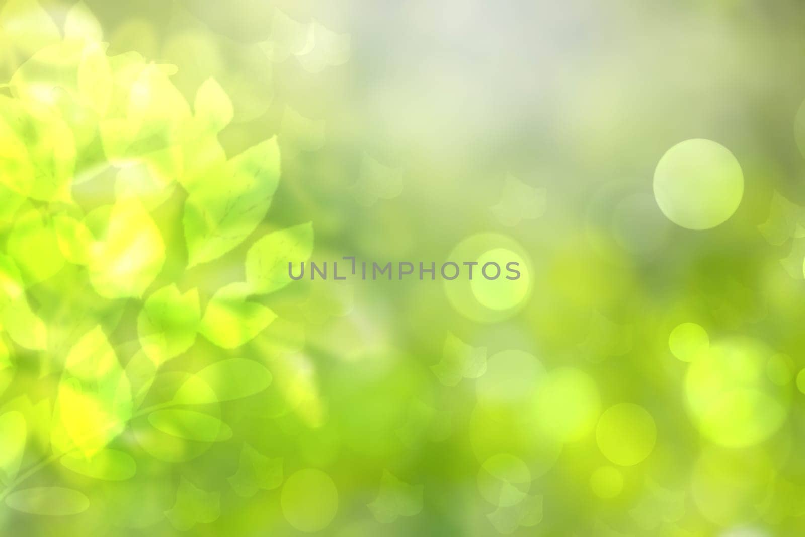 Abstract gradient green light and yellow colorful pastel spring or summer bokeh background with leaves and circular lights. Beautiful texture.