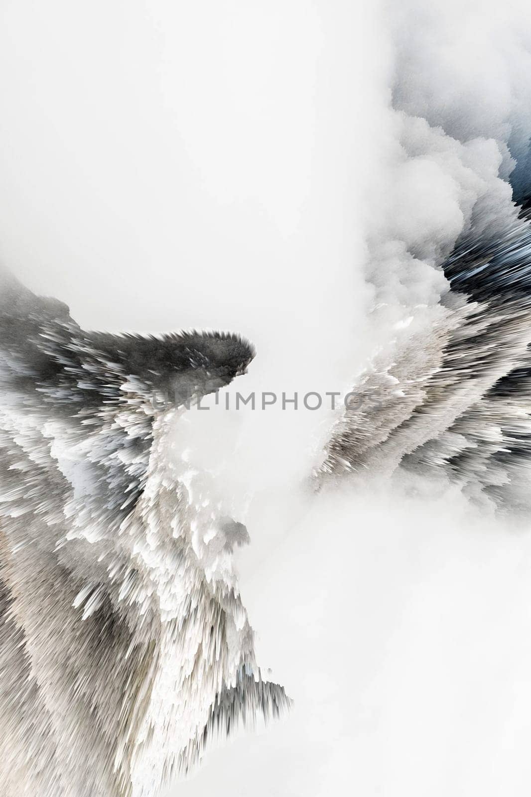 abstract colored dust explosion on a black background.abstract powder splatted background