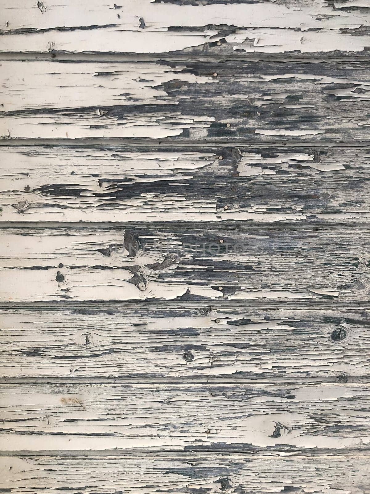 wood texture background surface with old natural pattern
