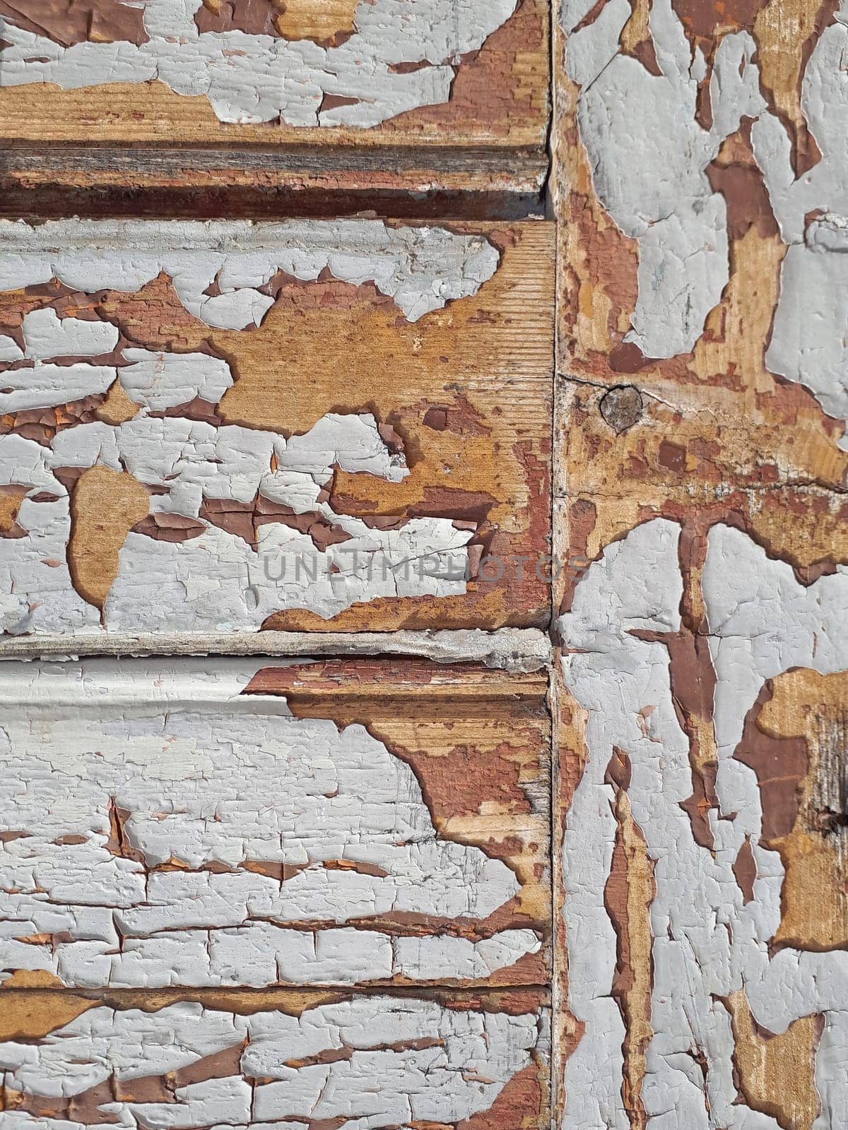 wood texture background surface with old natural pattern