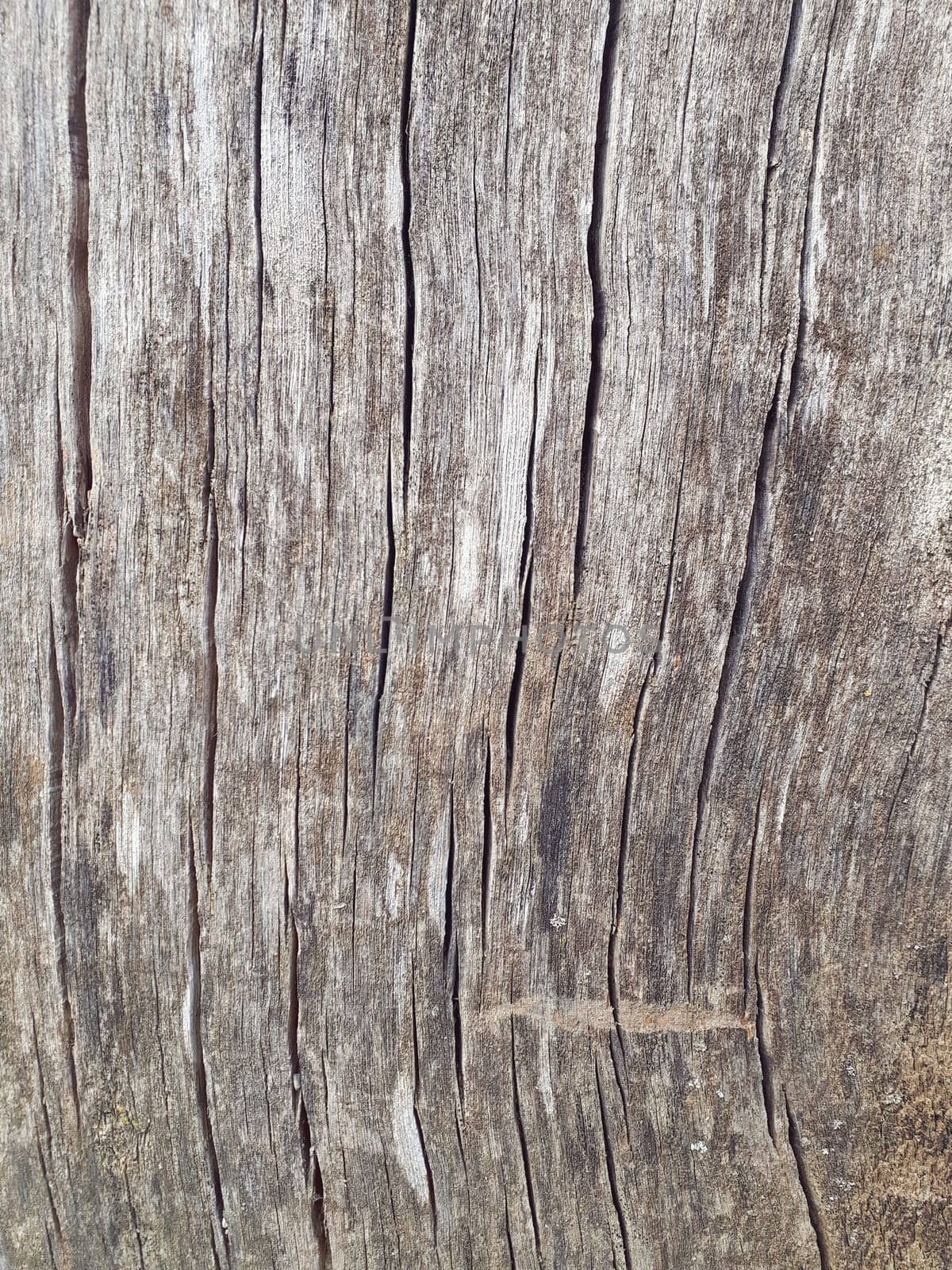 wood texture background surface with old natural pattern