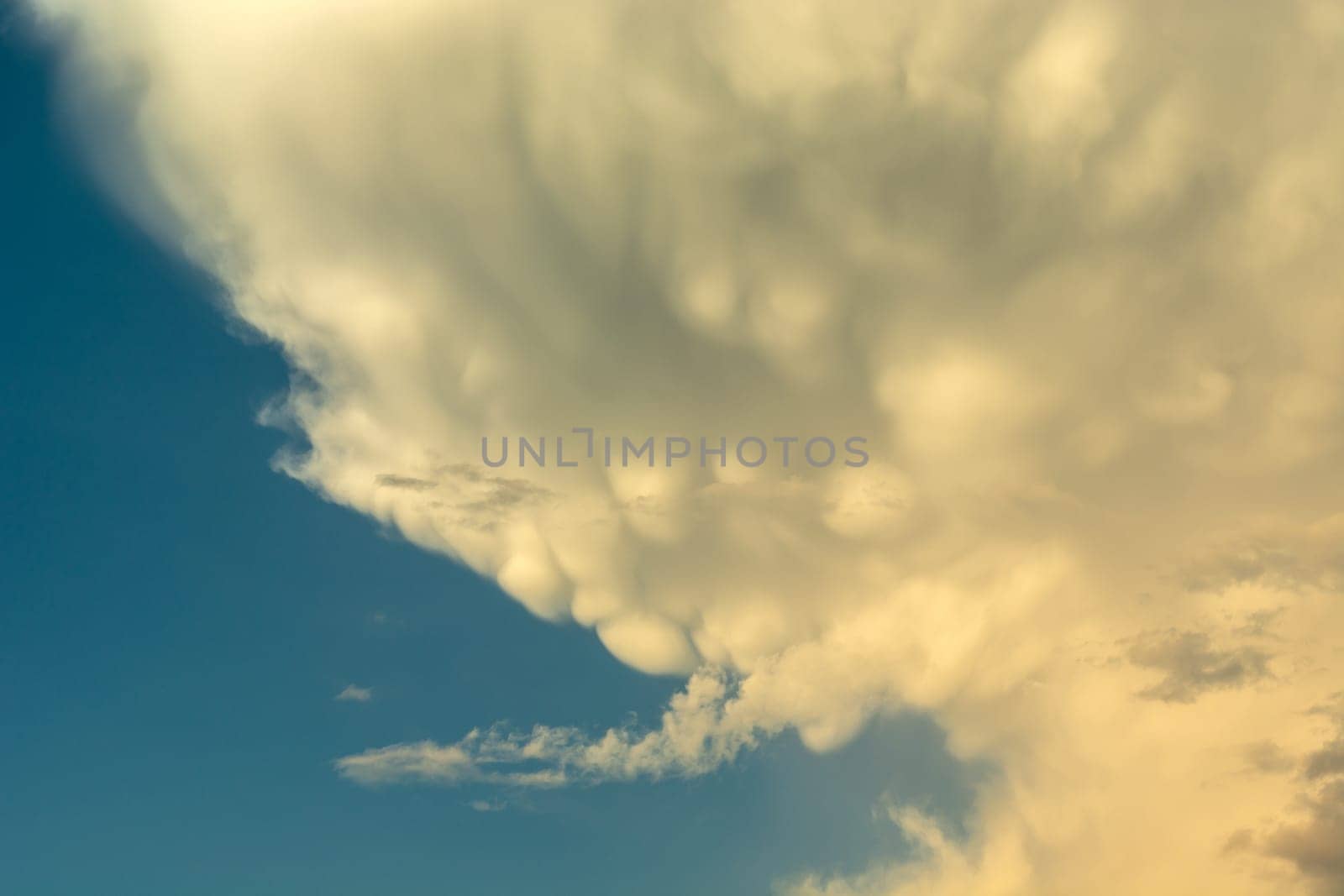White-gray mammatus clouds against a blue sky, spring day