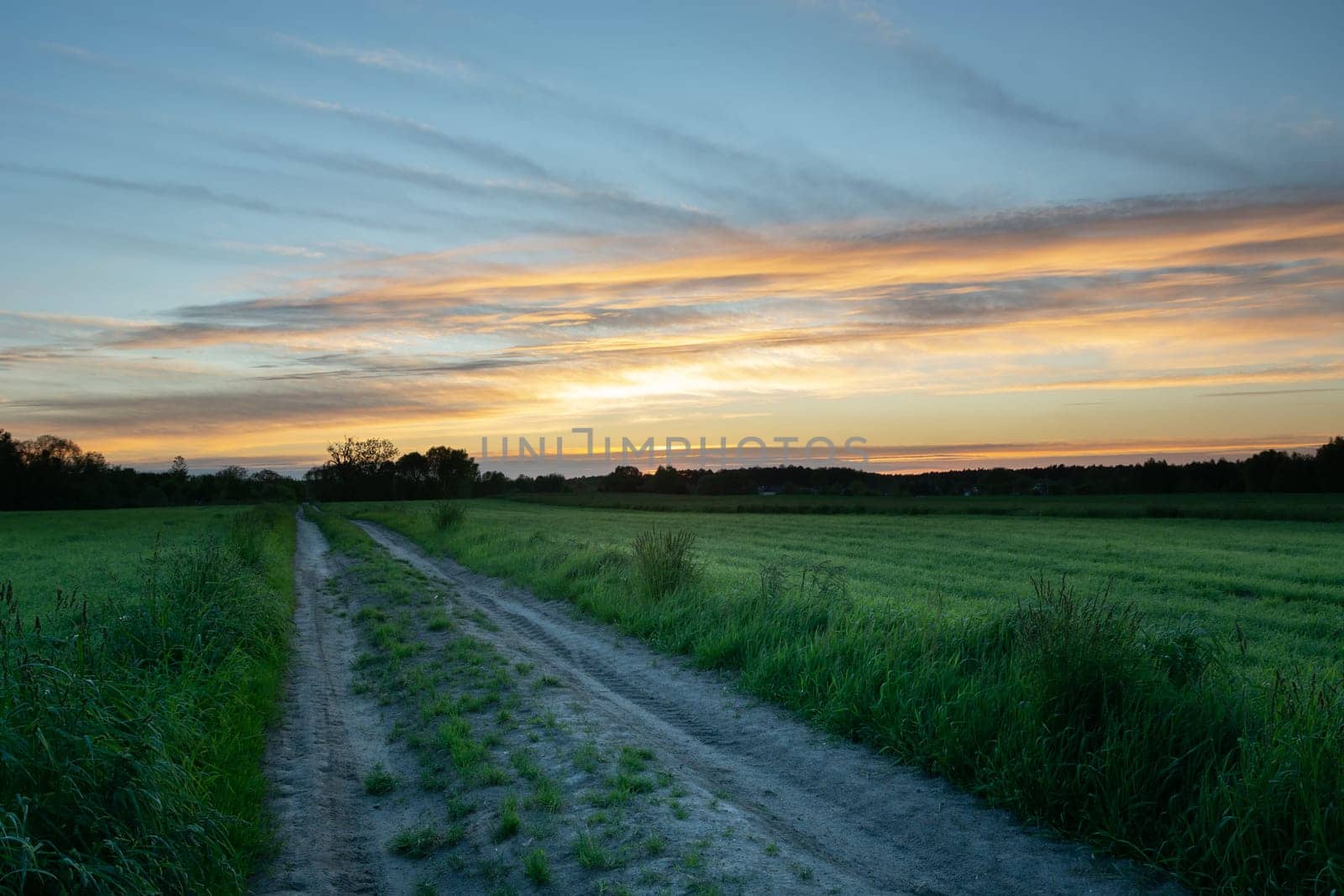 Dirt road between green fields and clouds after sunset, Nowiny, Lubelskie, Poland