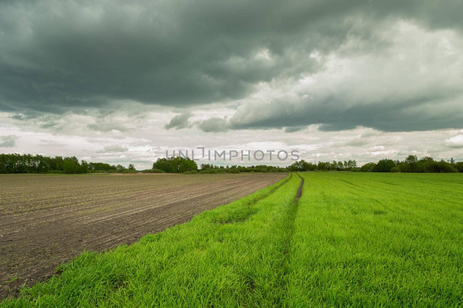 Dark clouds over the fields on a spring day, Nowiny, Lubelskie, Poland
