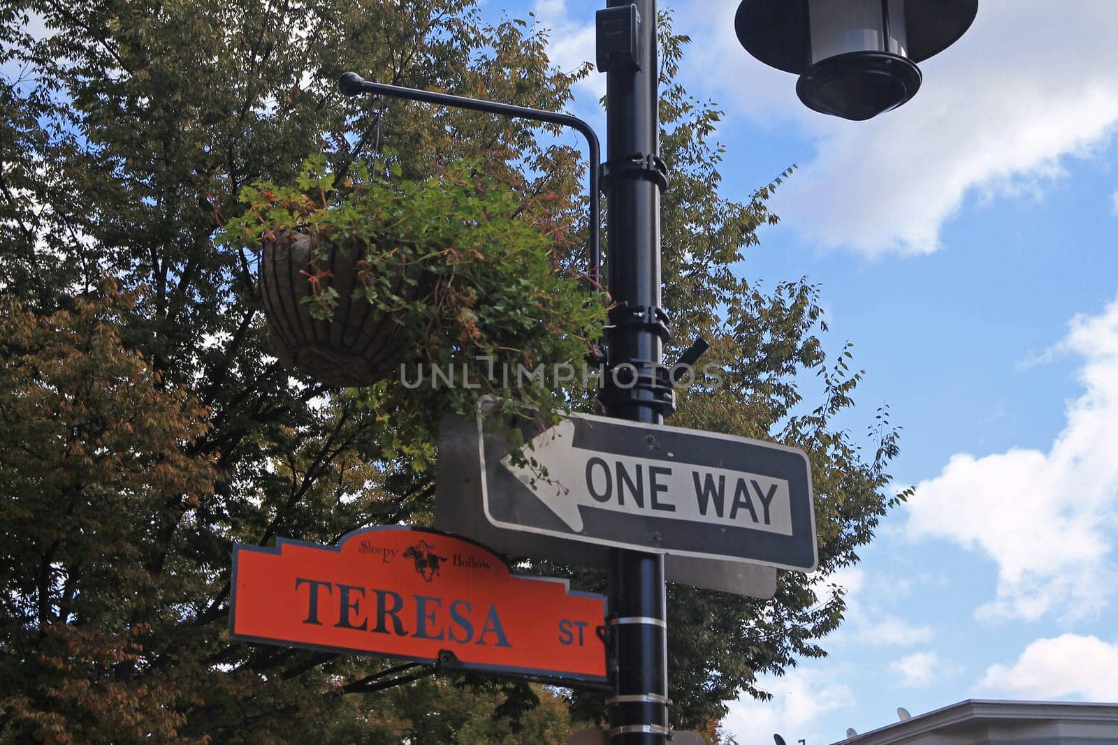 One way sign and orange Teresa Street sign hanging on a black pole in Sleepy Hollow in the New York State