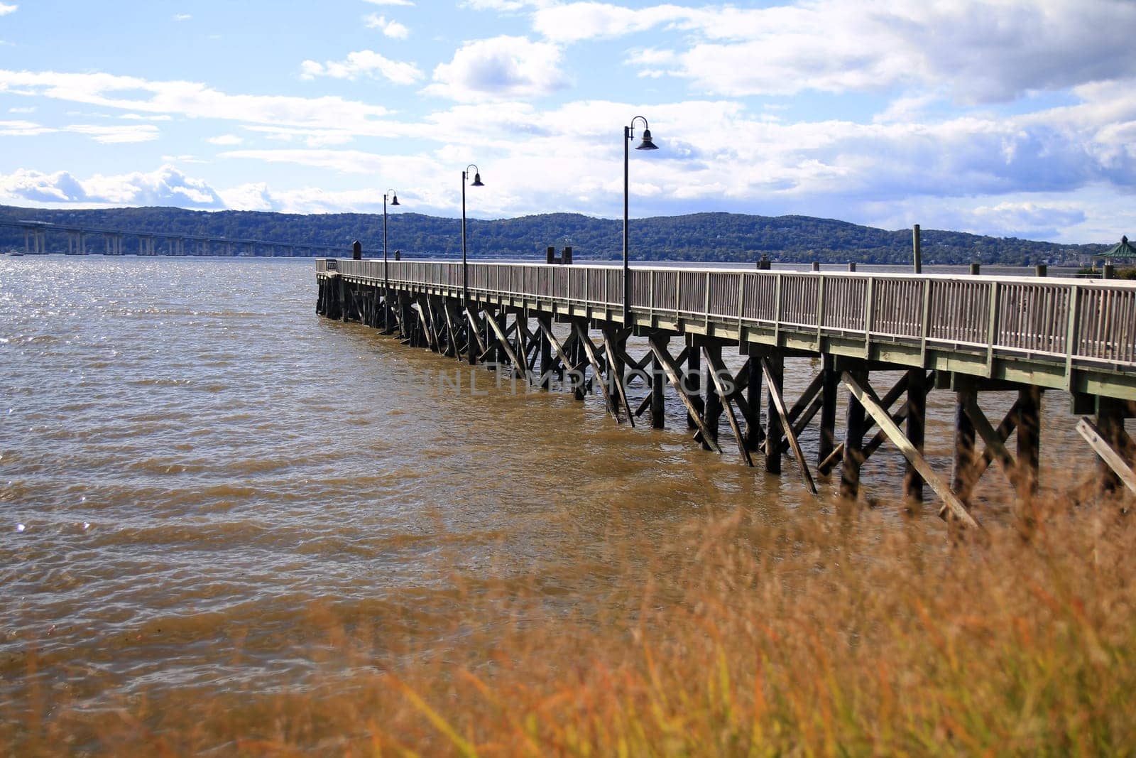 The wooden pier emerging from the fall bushes on the river during a sunny and clouded day