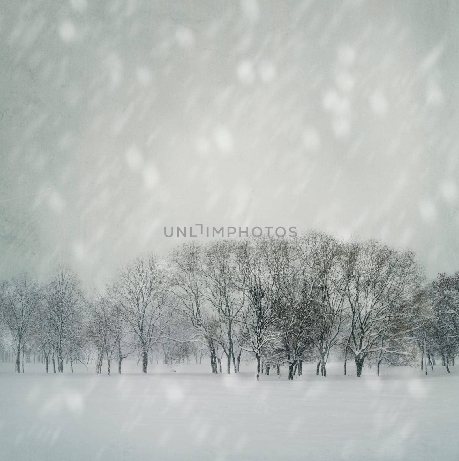 Wood covered with snow