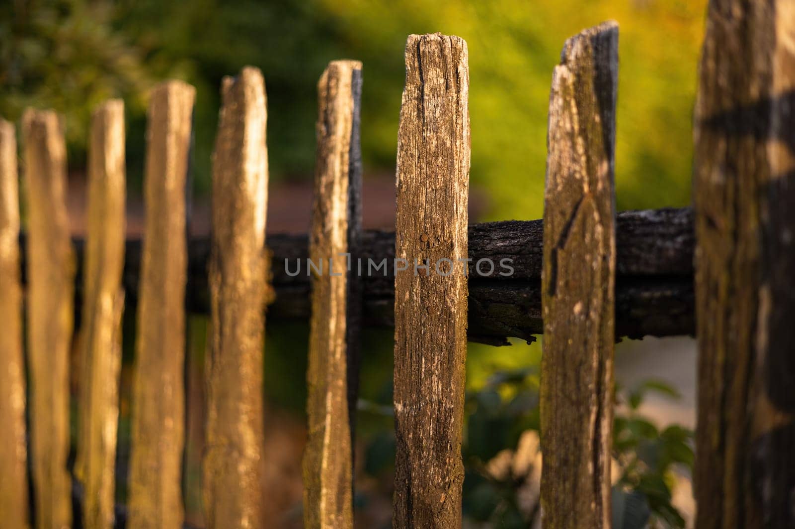 Close up of picket in an aged wooden fence with green background. Regular structure of wall around a garden in an old town. Concept of privacy.