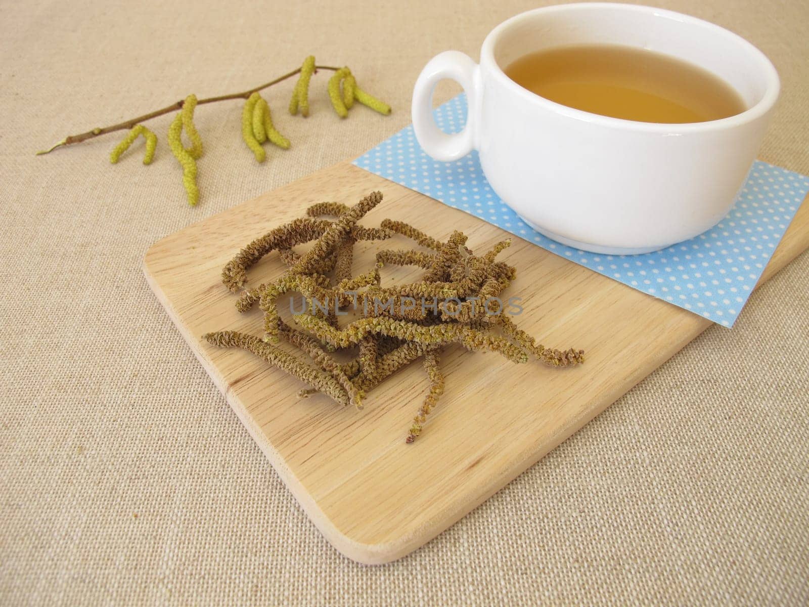 Herbal tea with hazel catkins, hazel flowers from hazel bush