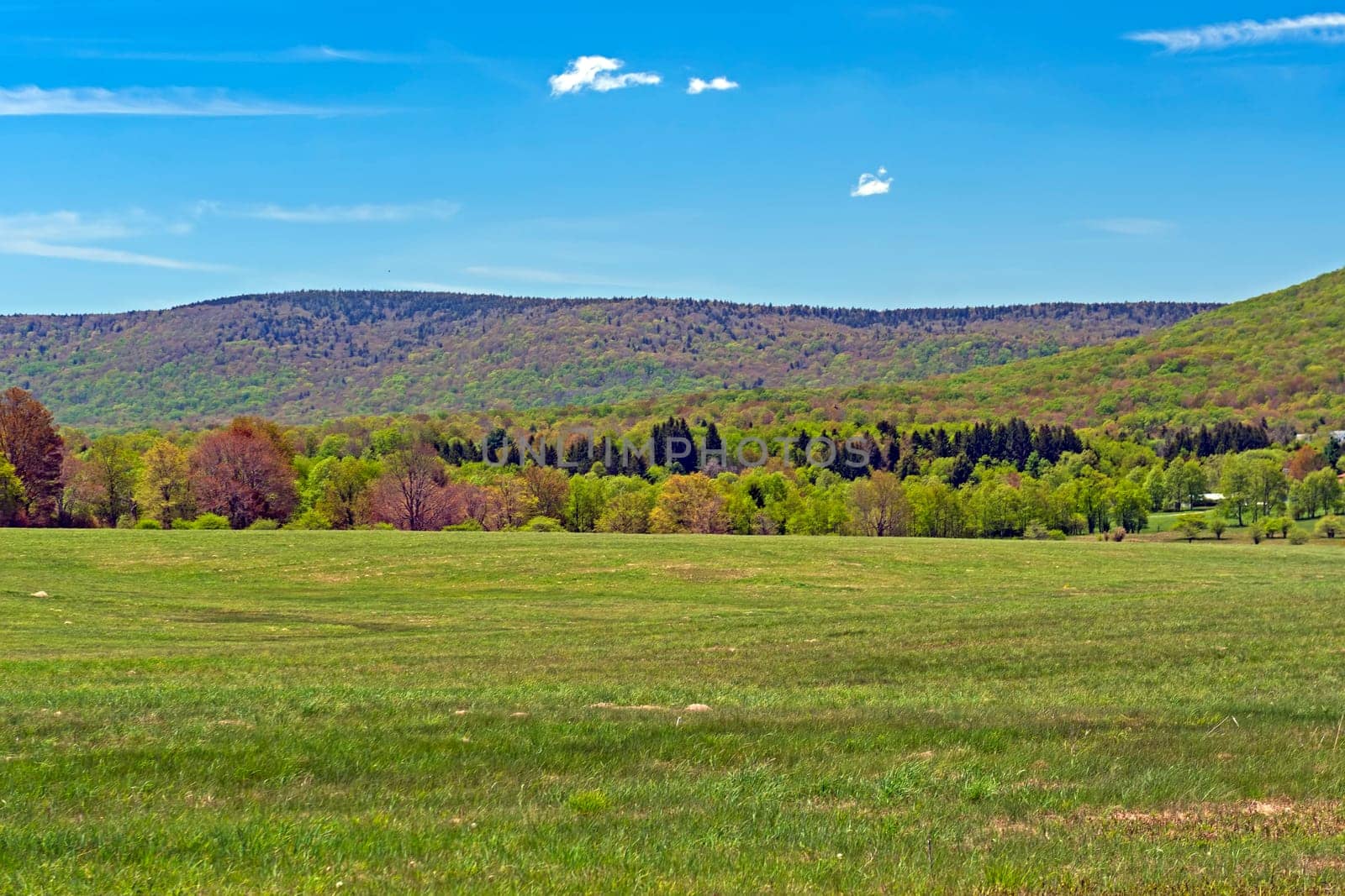 West Virginia Counryside in the Spring Near Davis, West Virginia