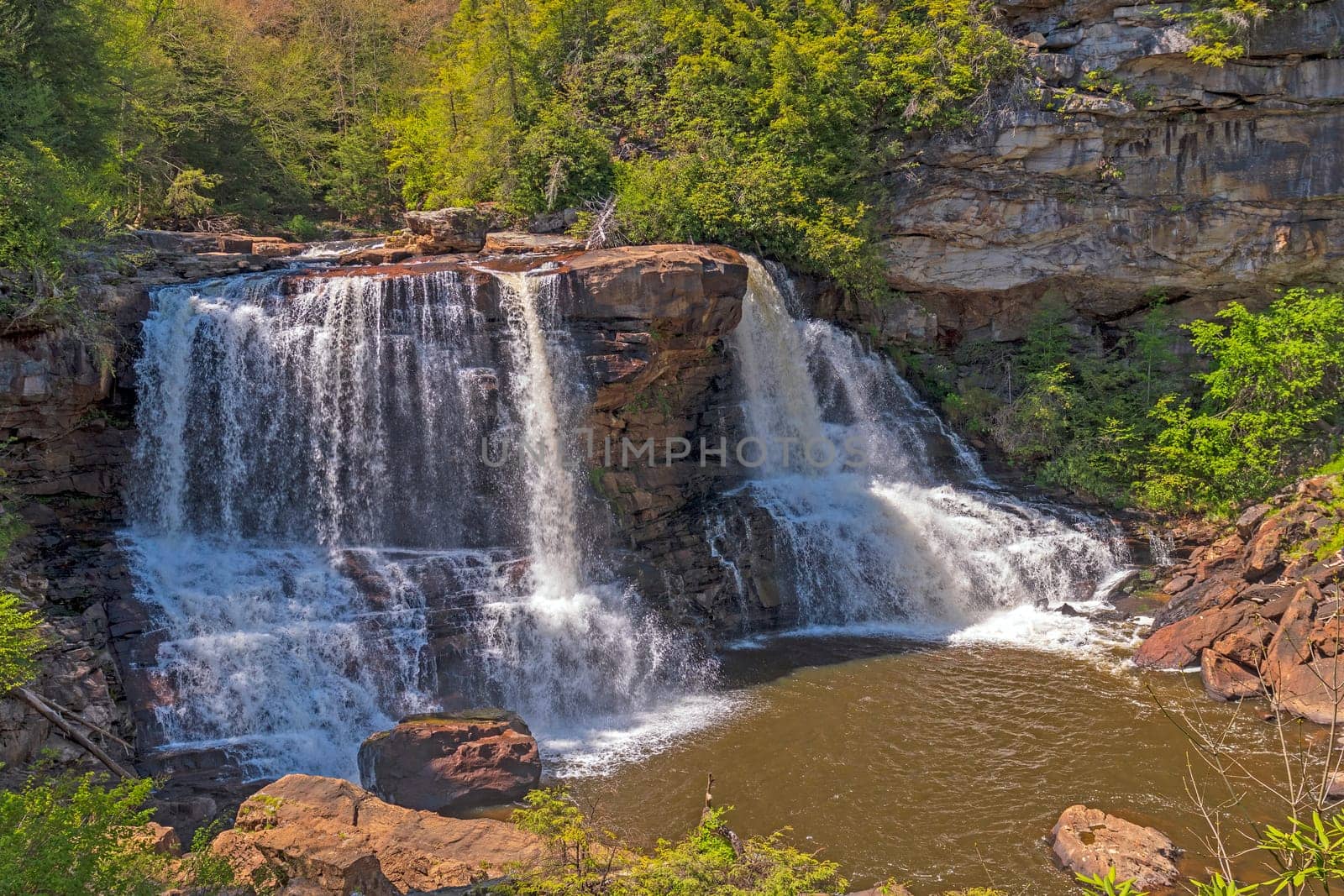 Blackwater Falls in the Spring Forest Near Davis, West Virginia