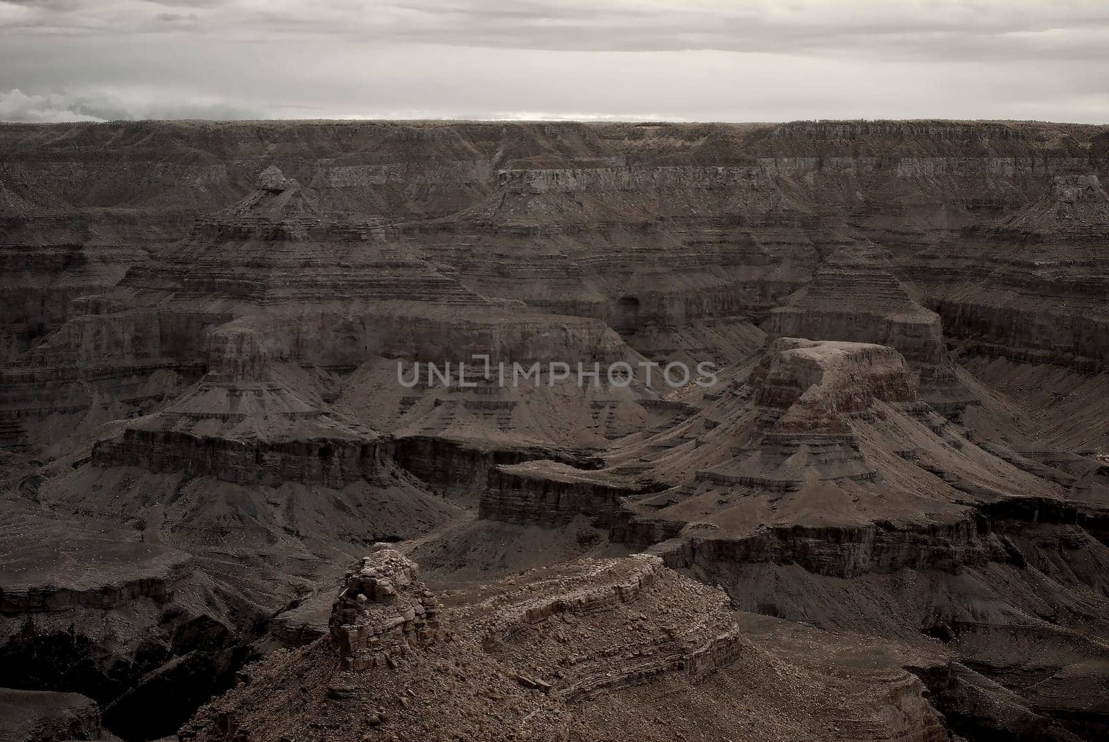 Sepia tone Late afternoon in the Grand Canyon Arizona