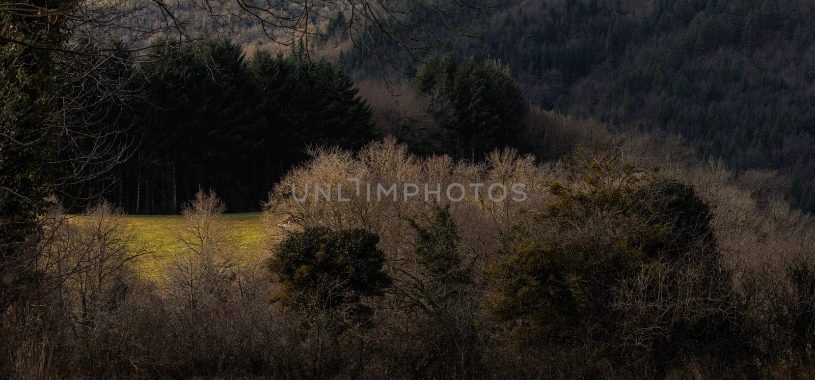 Blue landscape with hill and forest and cloudy sky