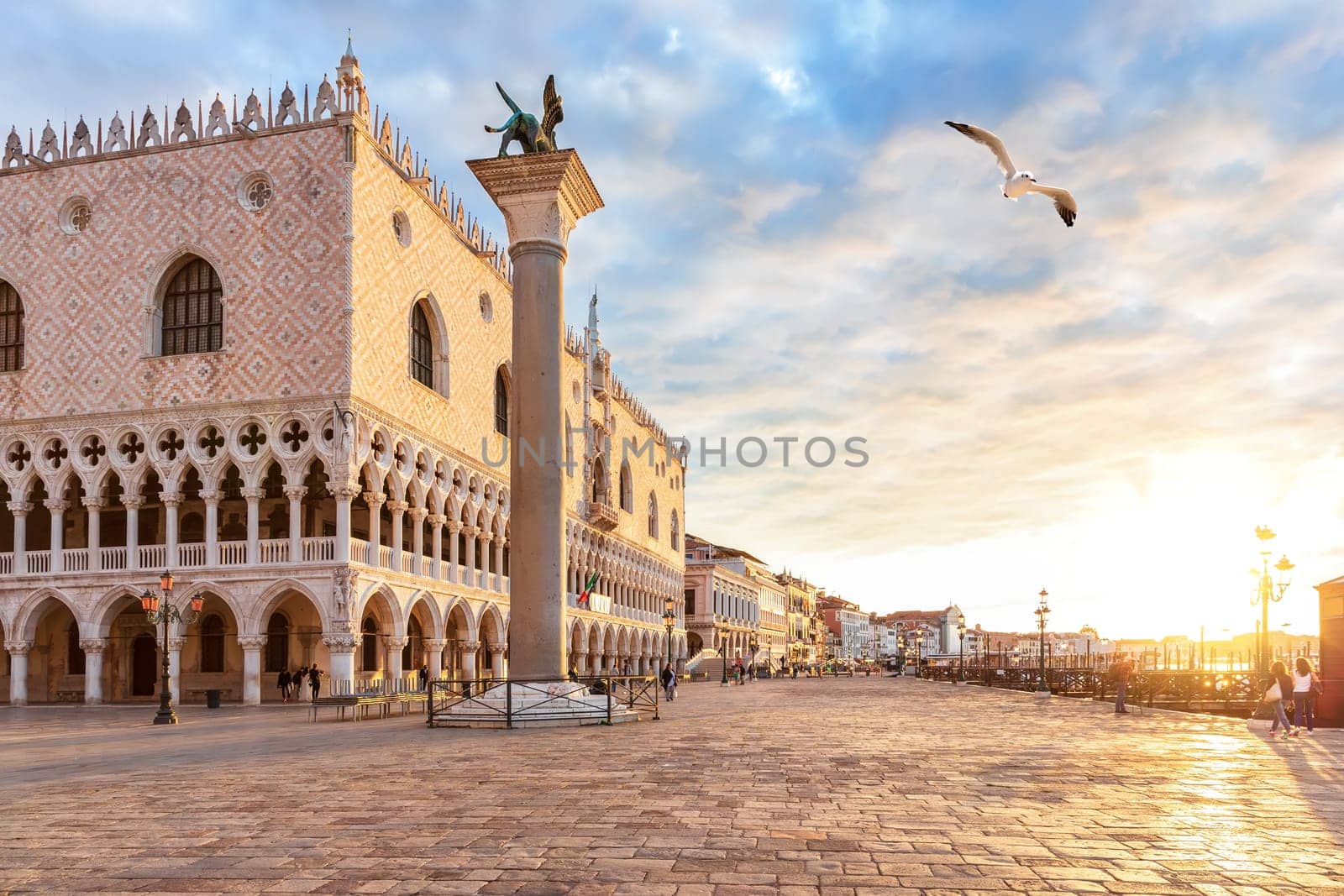 Seagull flies by the Venice pier at sunset, Italy.