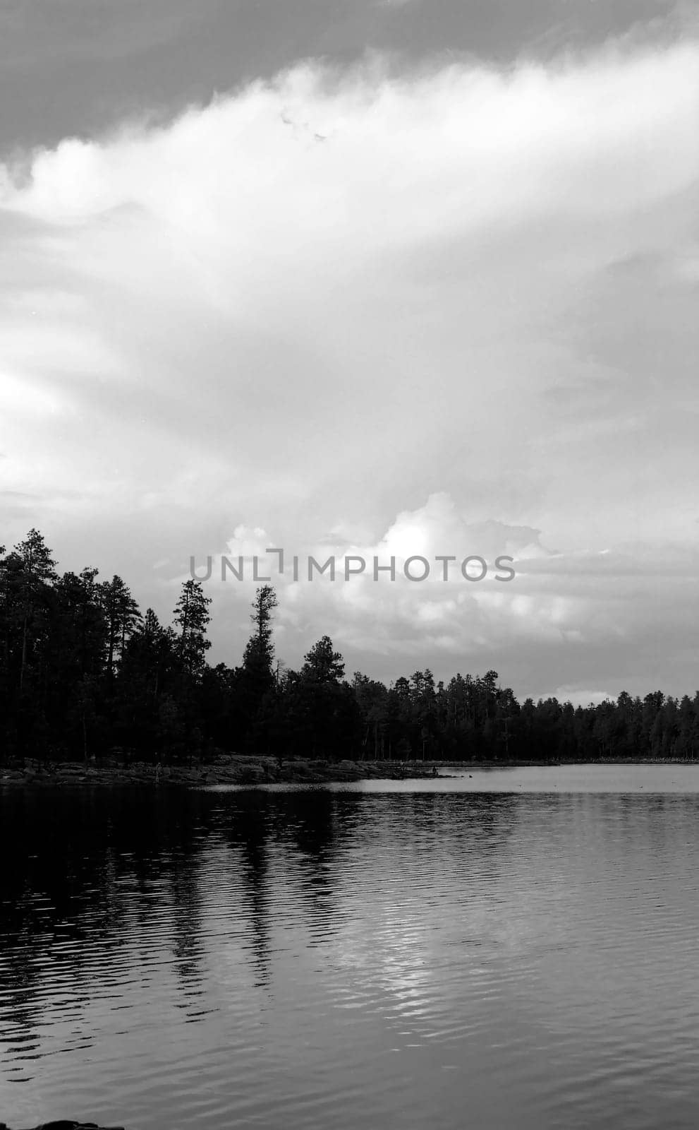 Monochrome of Cloudy day at Woods Canyon Lake in White mountains of Arizona