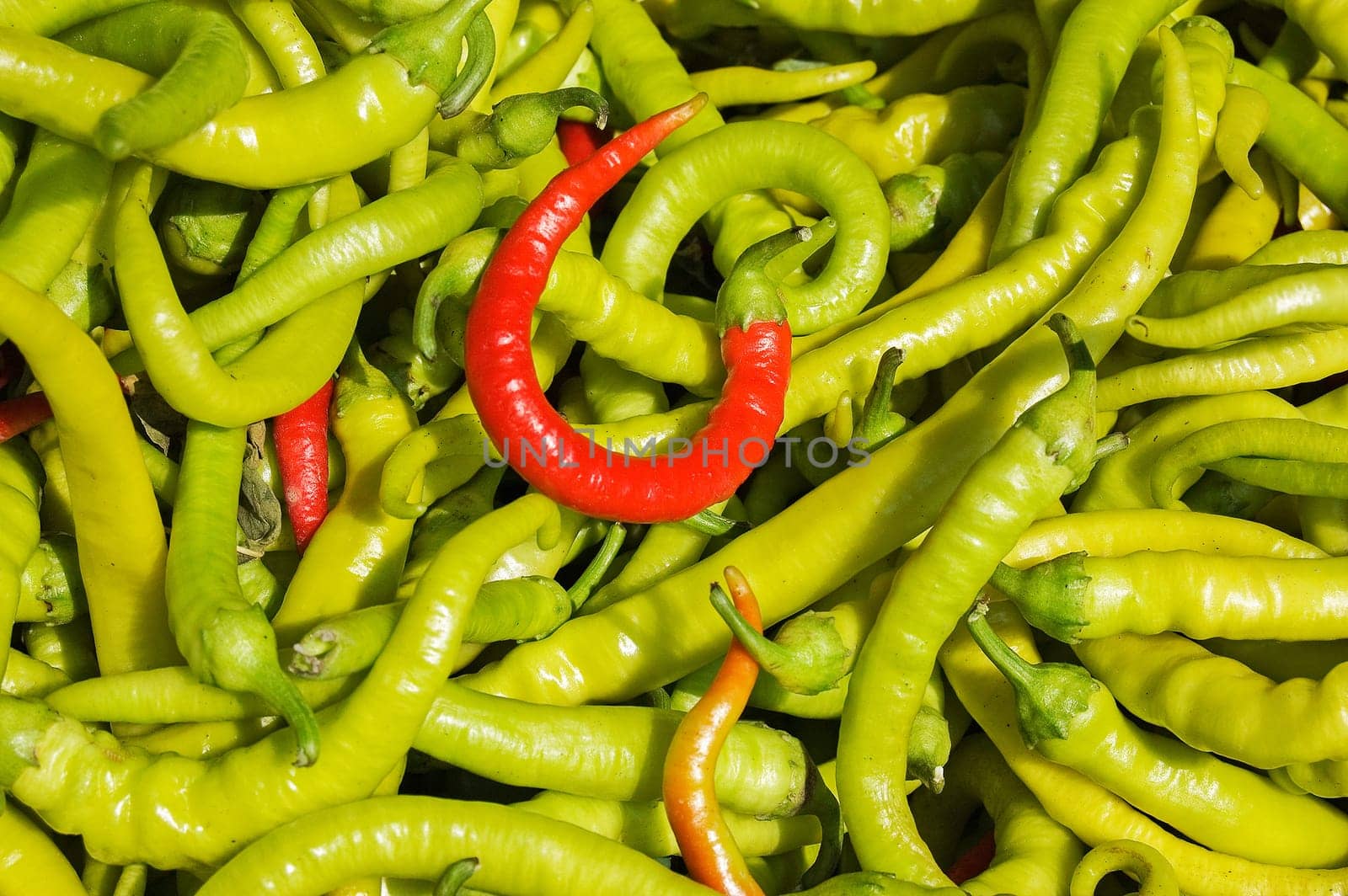 Green and red peppers
