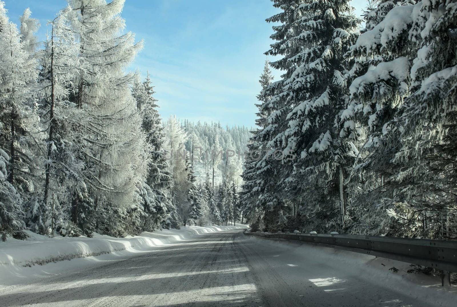 View from driver's seat, driving through winter forest road, snow covered pine trees on both sides, sun and clear sky over hill in distance.