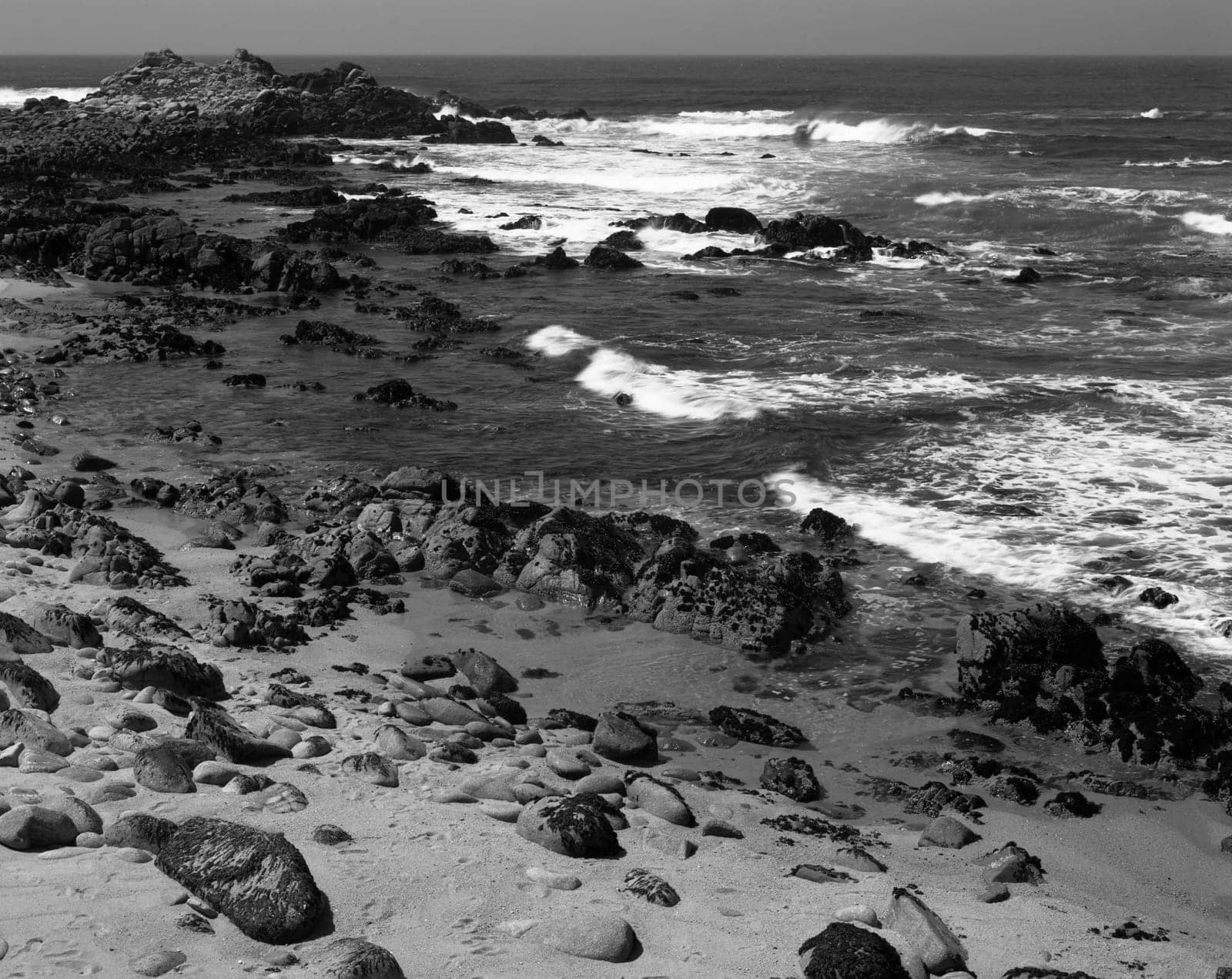 Asilomar State Marine Reserve Monterey Bay California