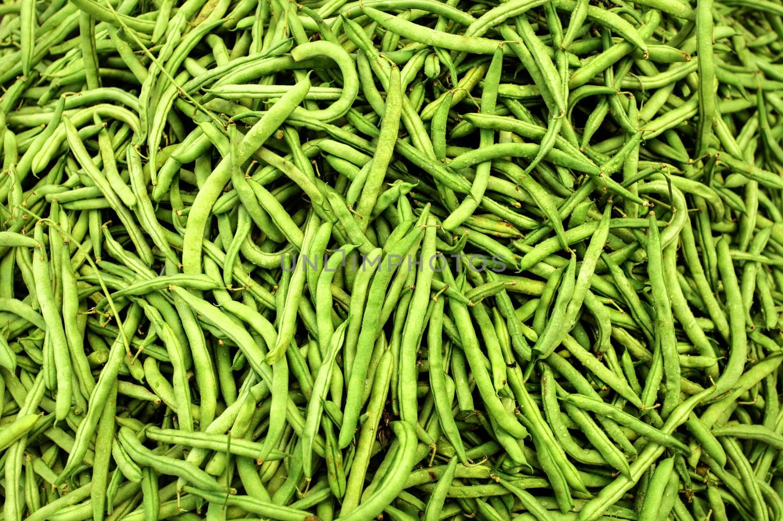 Heap of wet green (string) beans  displayed on food market.