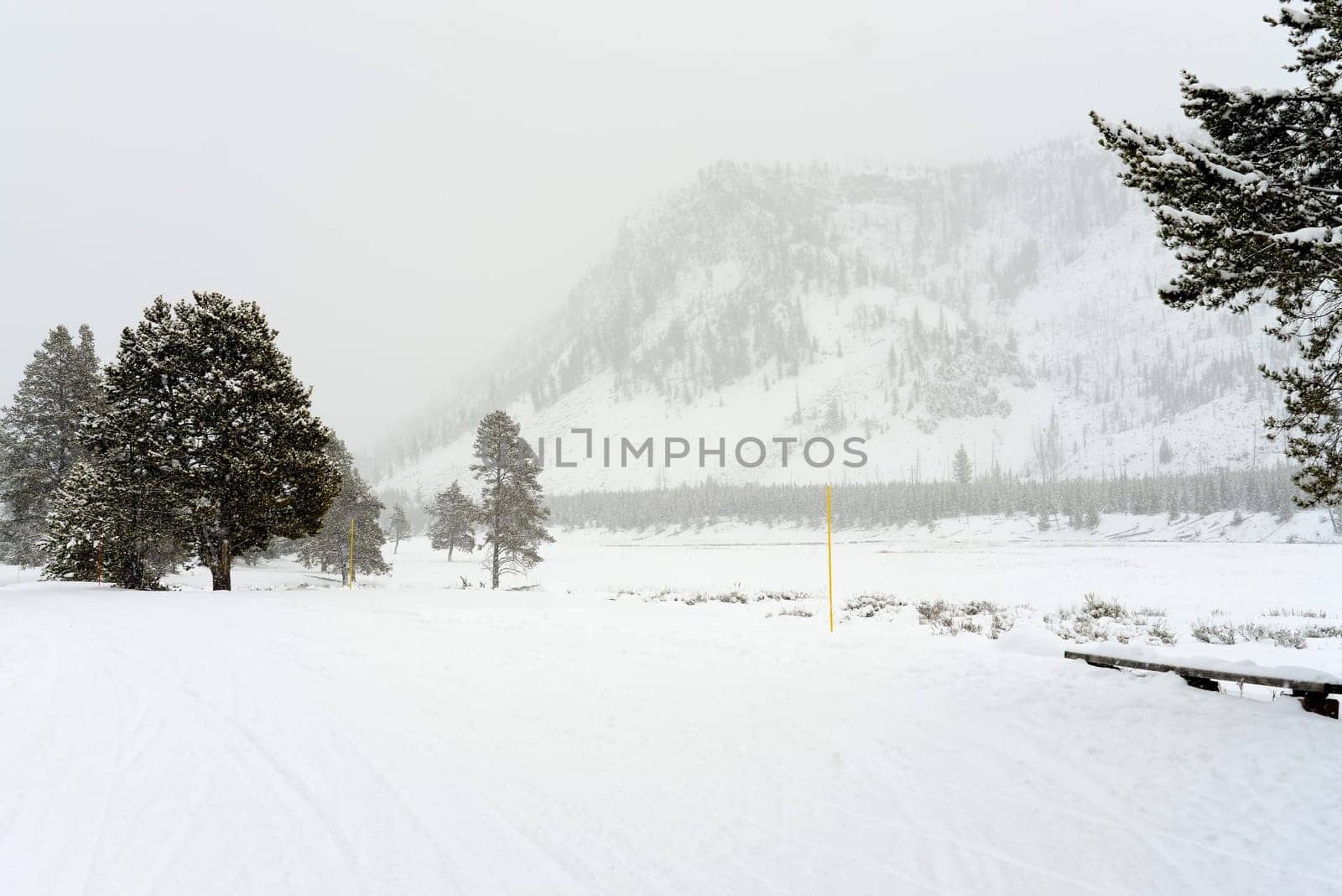 Road marker covered with snow in Yellowstone National Park