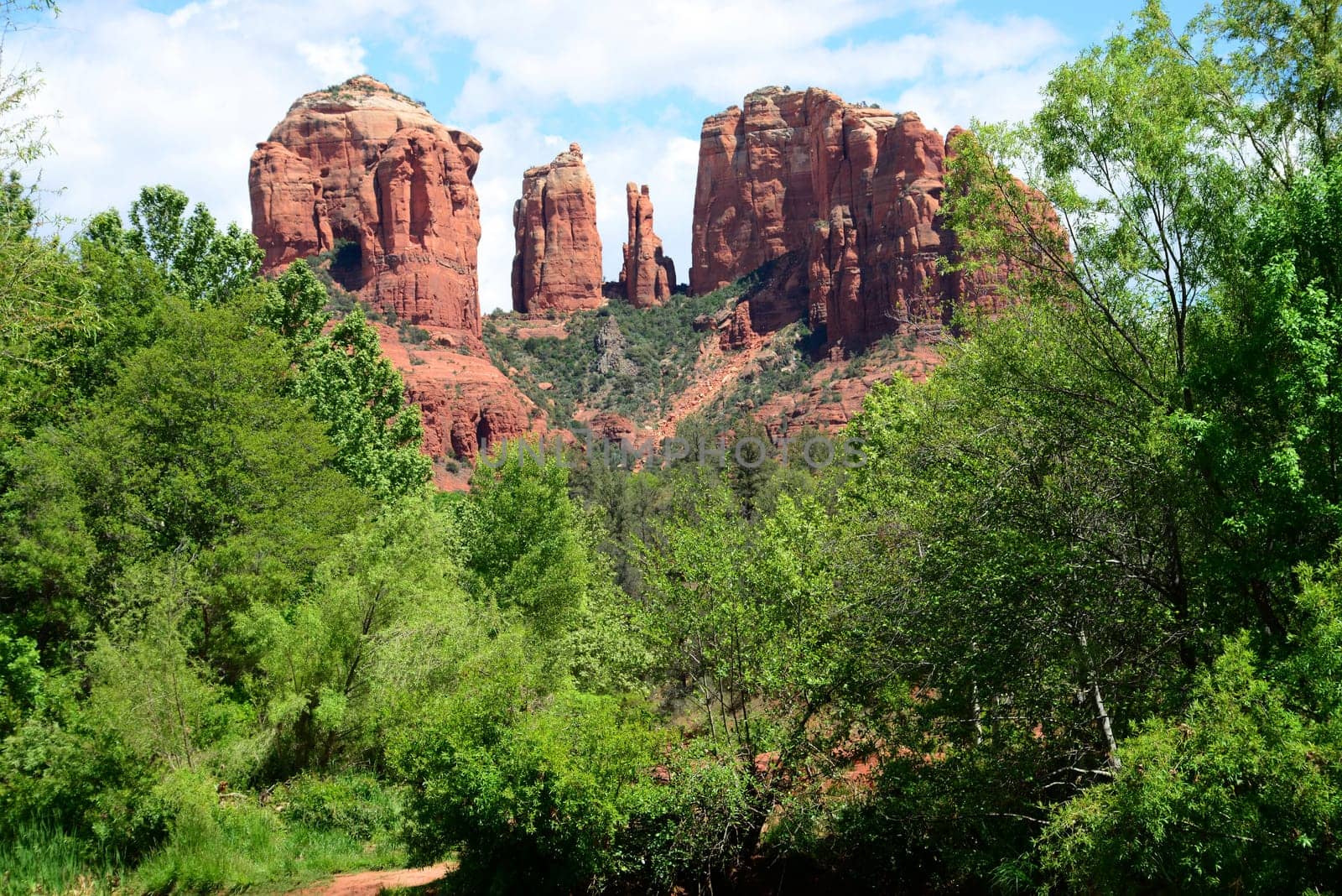 Oak creek at cathedral Rock sedona arizona