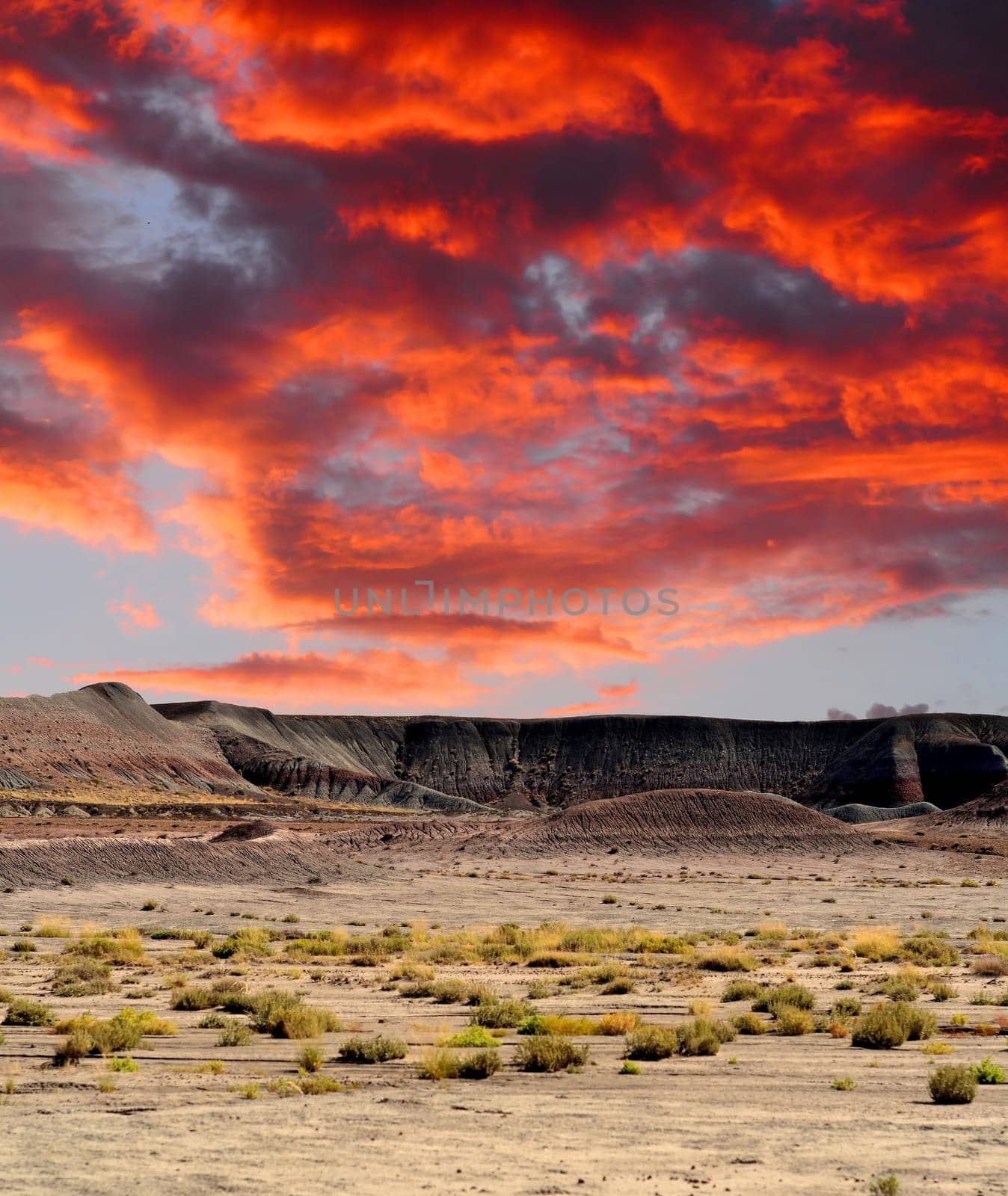 Scenic landscape of the ancient petrified forest in Arizona