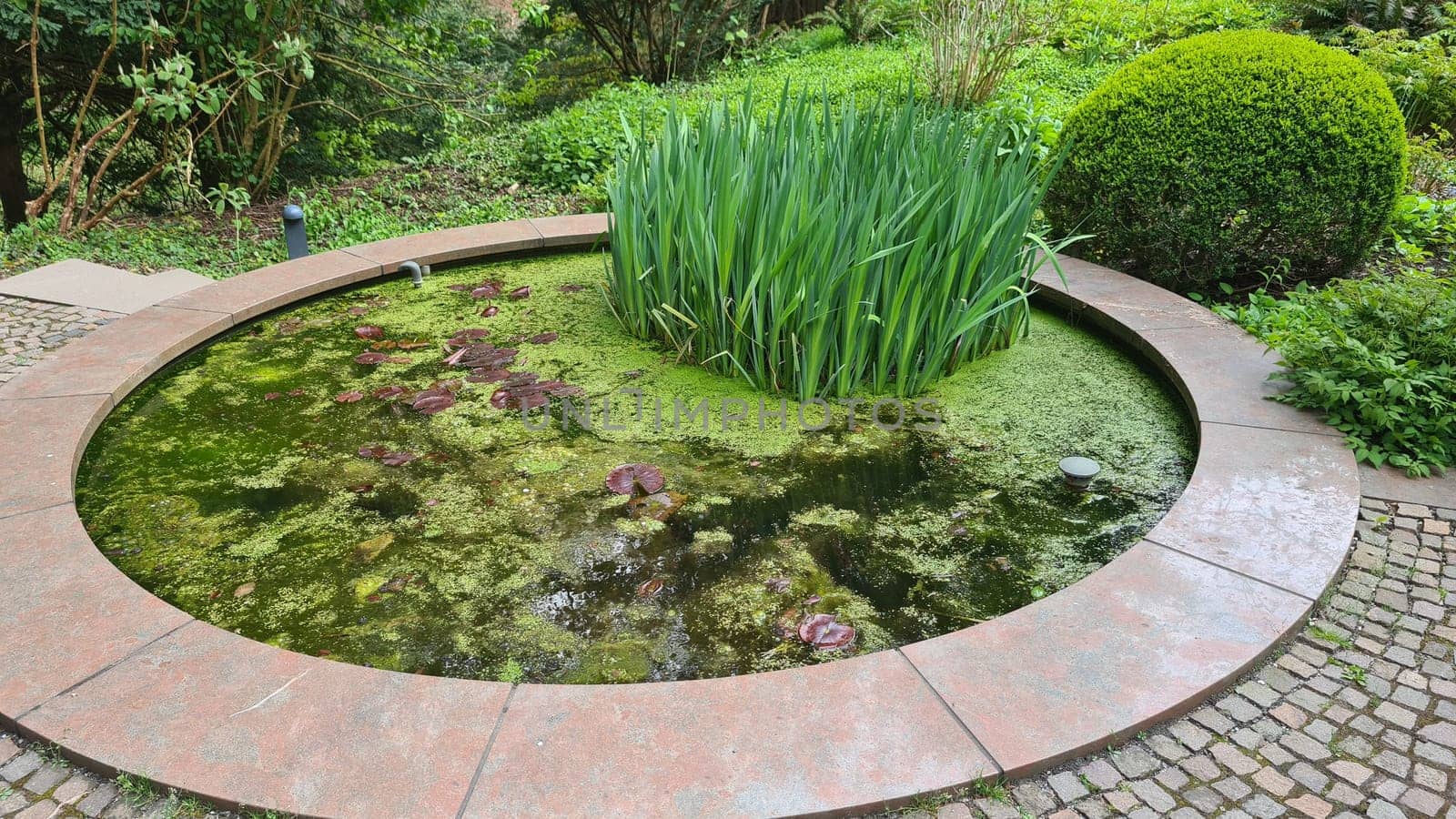 Fountain in the landscaped garden