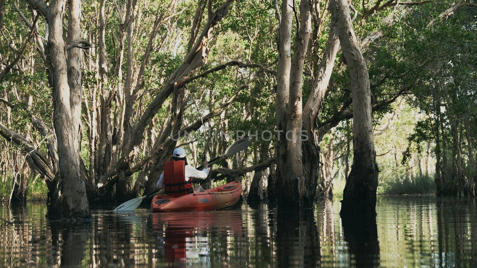 Back young adult woman paddling kayaking canoe on a lake on summer day in rural landscape, adventure travel leisure enjoying concept, lifestyle sport vacation