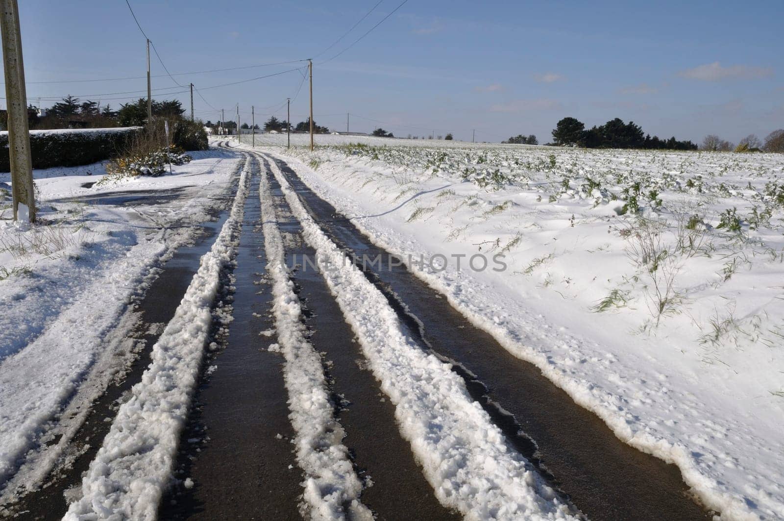 Path under the snow in Brittany