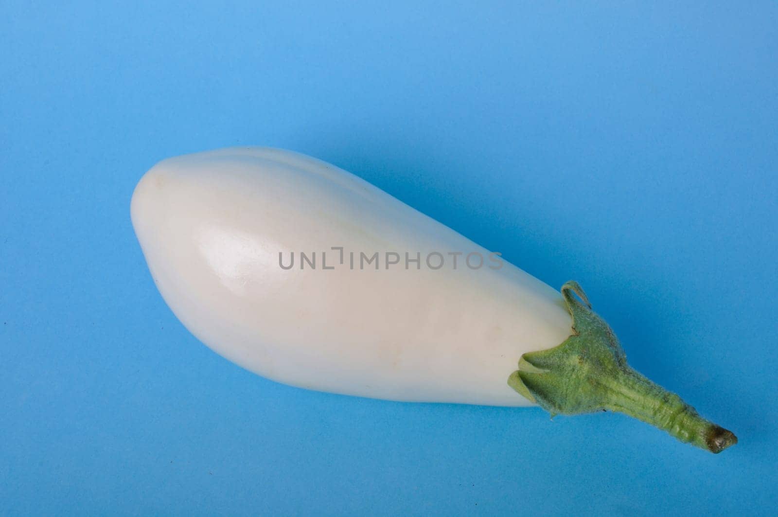 White eggplant on a blue background