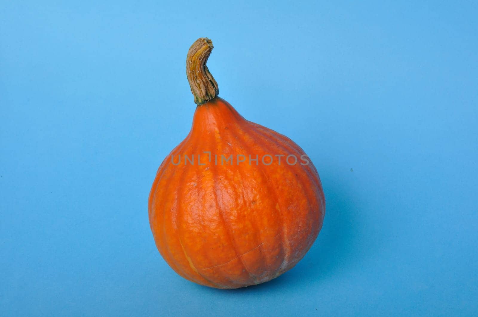 pumpkin on a blue background