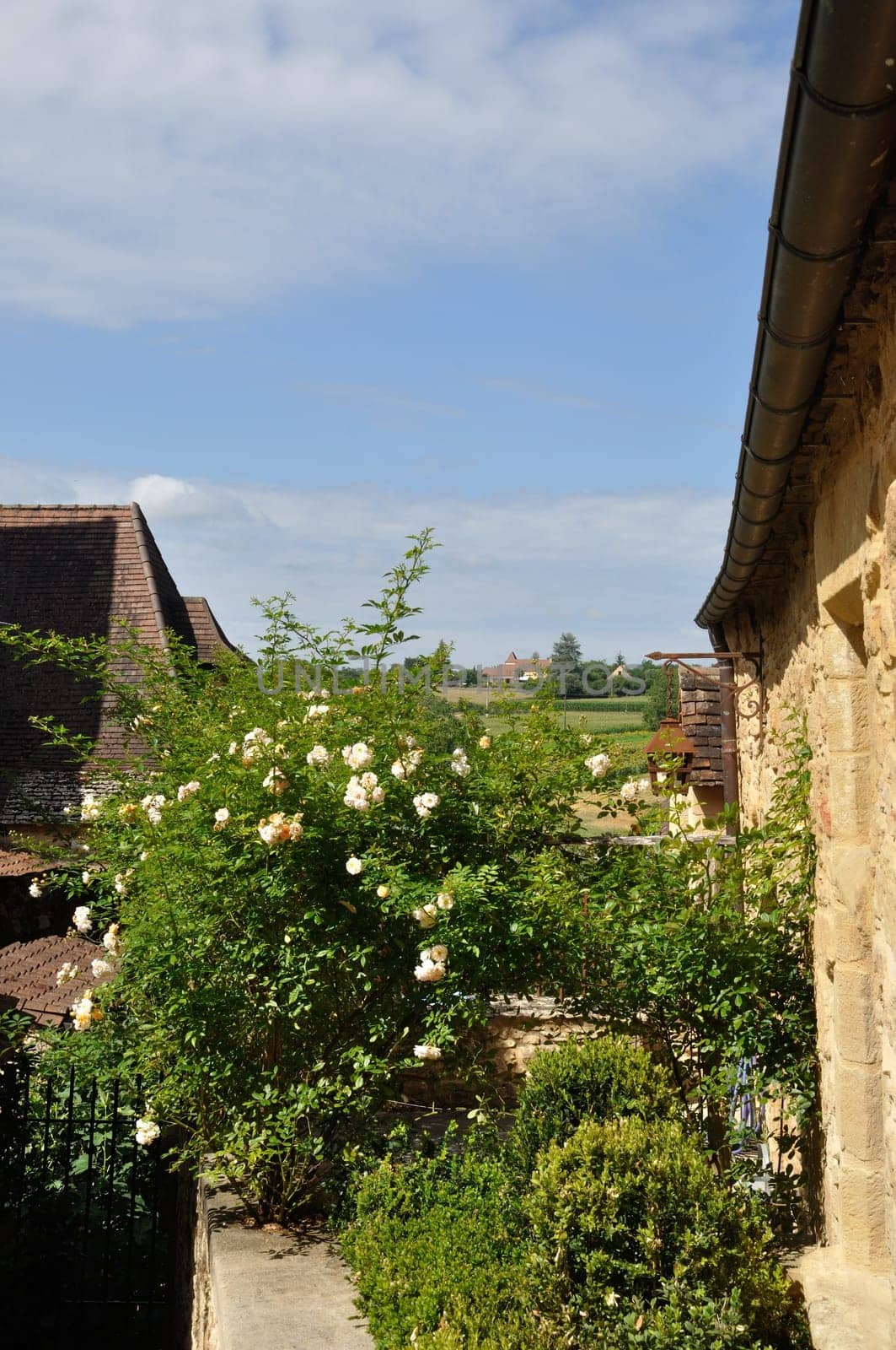 Village of Montfort in Périgord