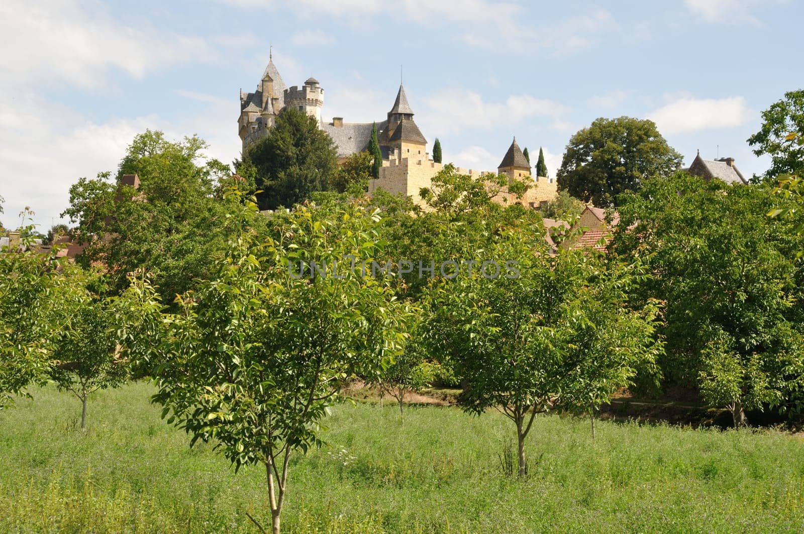 Village of Montfort in Périgord