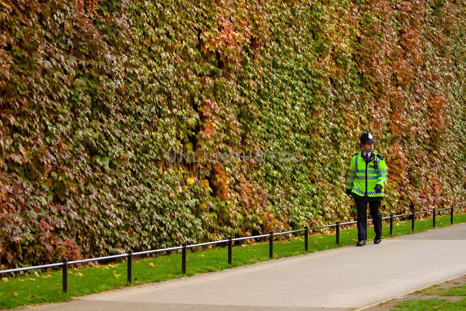 London, United Kingdom - November 12th, 2006: Unknown London Metropolitan police officer in high visibility jacket, walking in park, wall covered with autumn coloured Ivy leaves behind him.