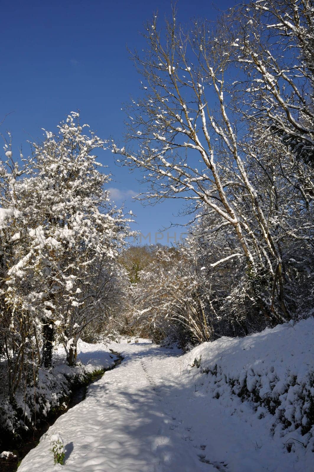 Path under the snow in Brittany