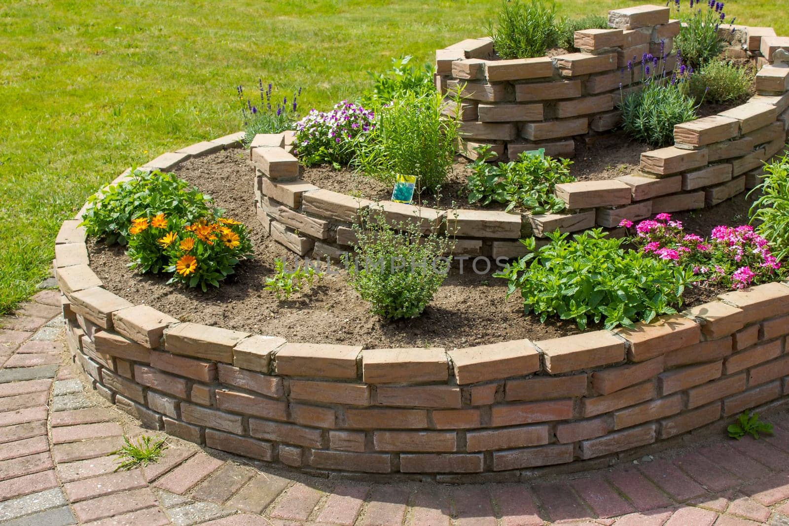 herb spiral in the garden with herbs and flowers
