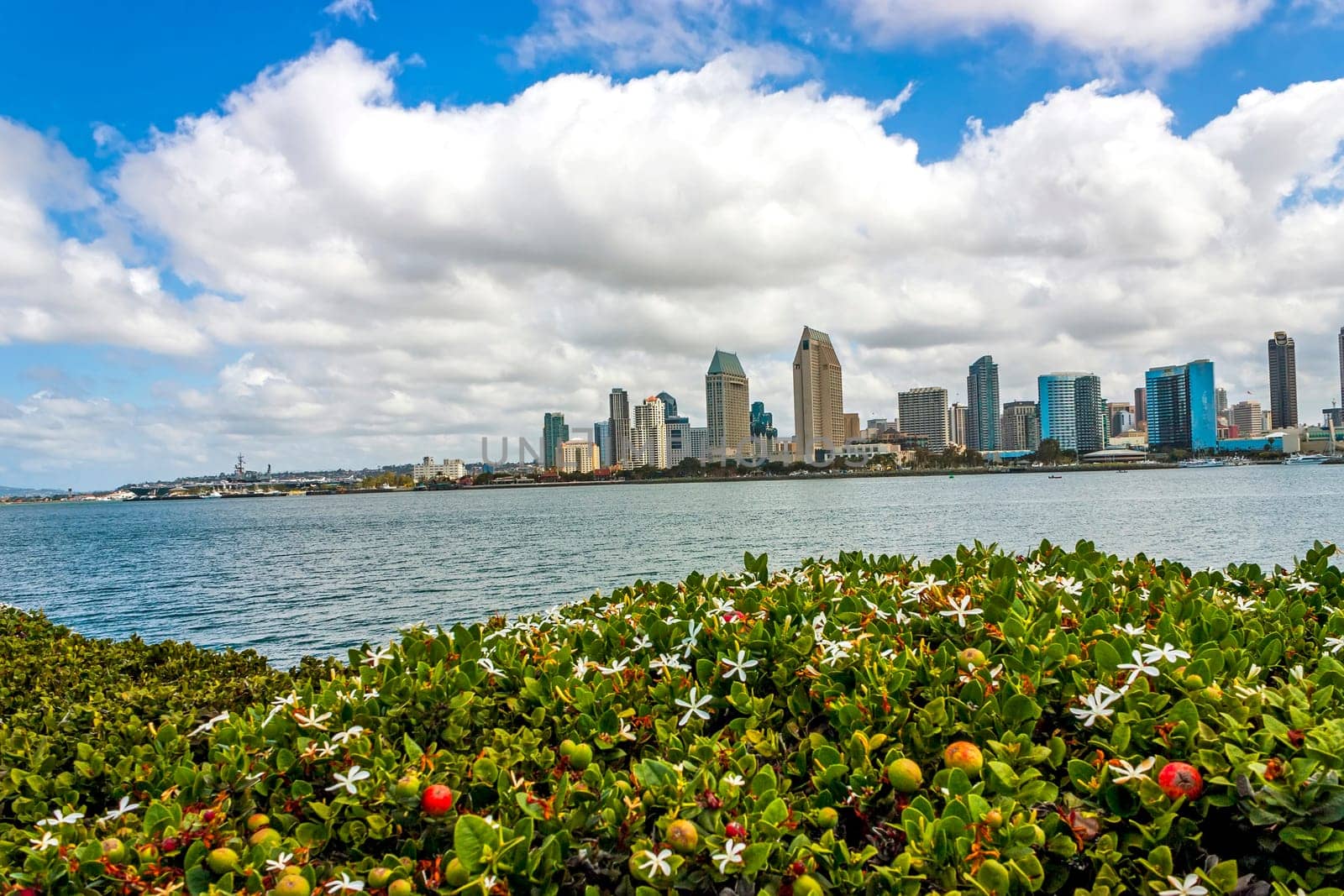 Day along coastal La Jolla, a tourist destination in San Diego,California, America.