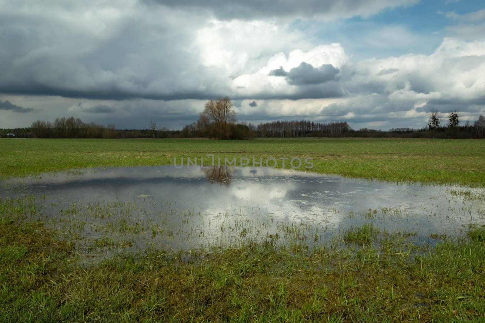 Water in the meadow and cloudy sky, Nowiny, Poland