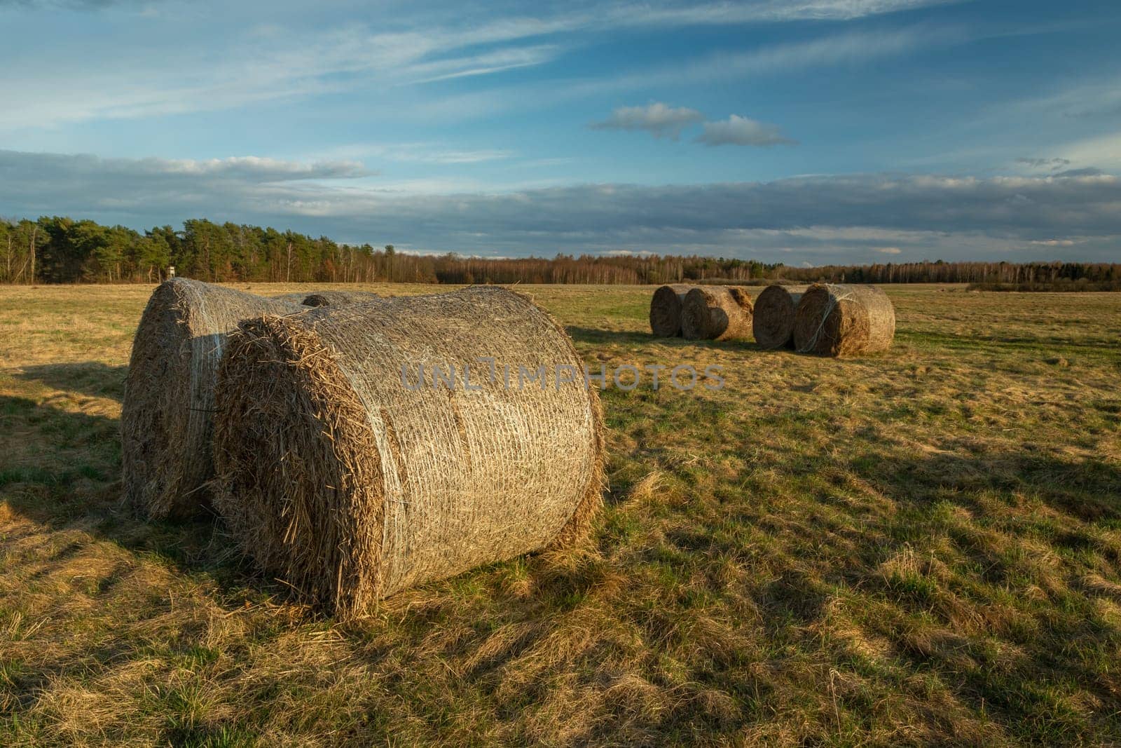 Hay bales in the meadow and cloudy sky, Czulczyce, Poland