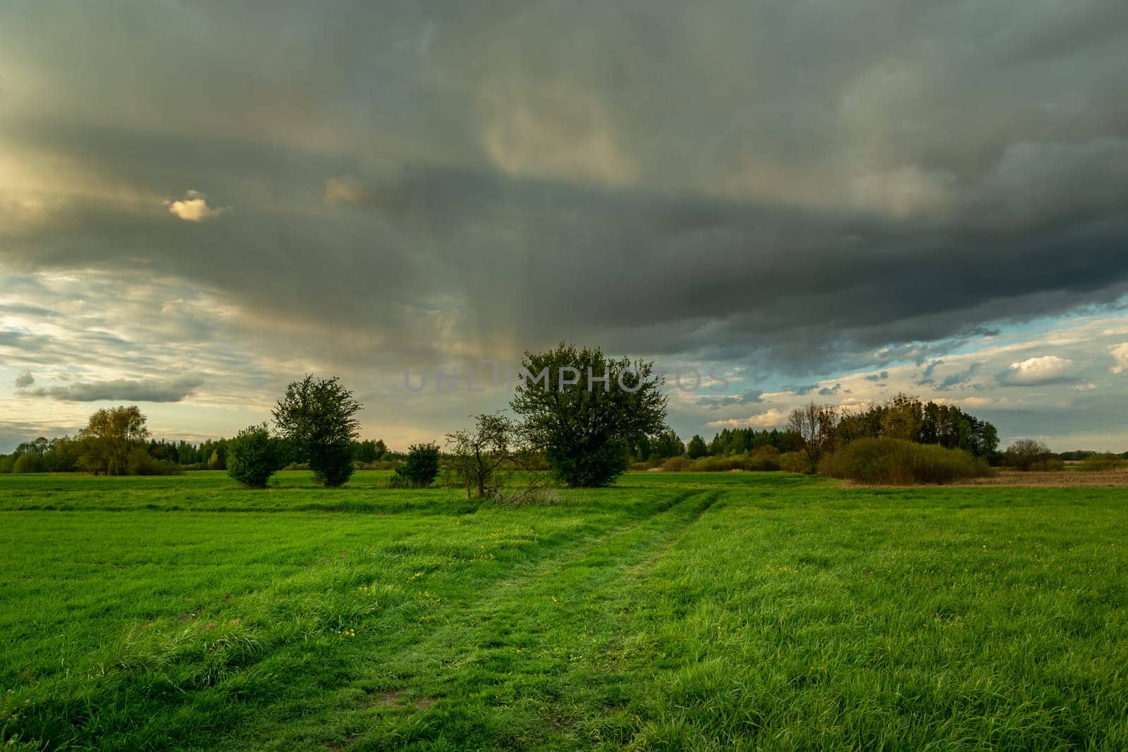 Green meadow with road and rain cloud, Nowiny, Lubelskie, Poland