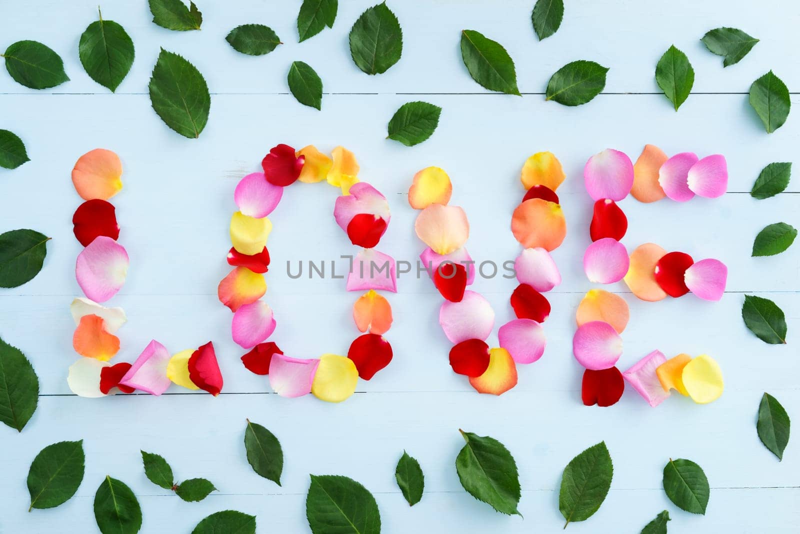Word love formed out of colorful rose petals on light blue background