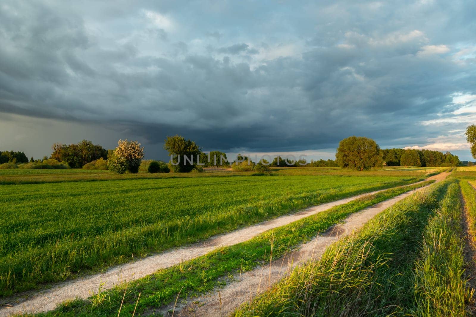 Rainy cloud and rural road through the fields