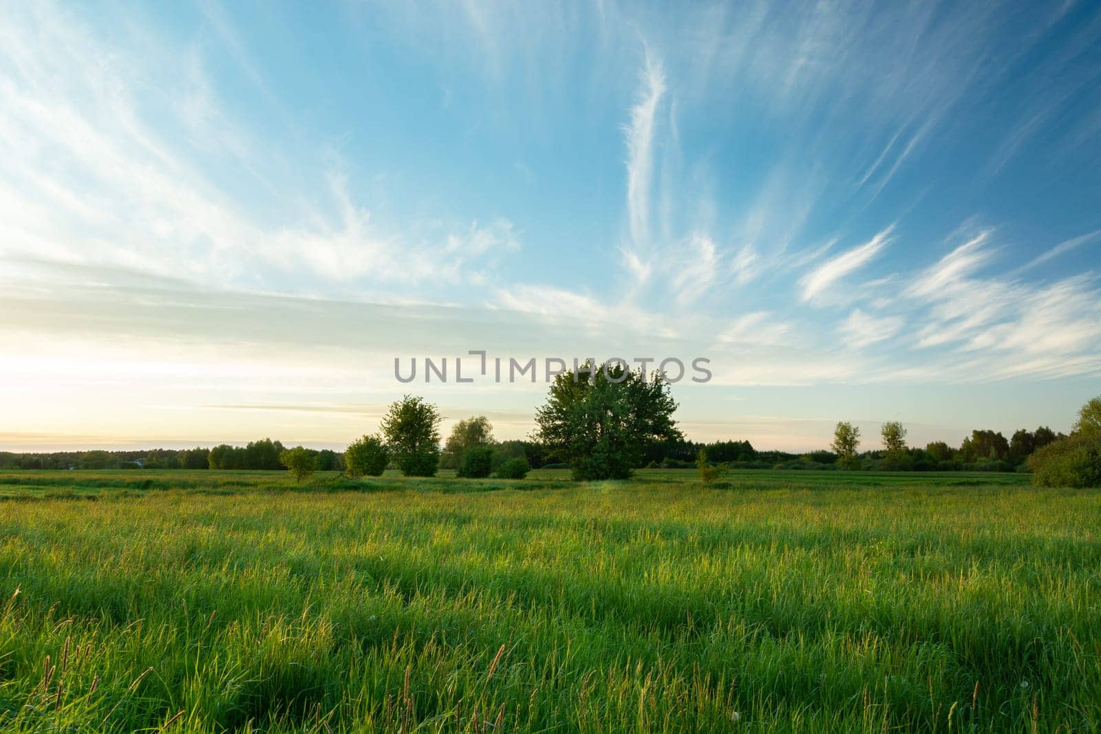 Fantastic clouds over the green wild meadow, Nowiny, Poland